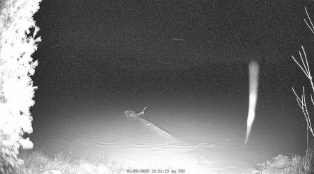 Image from 2025-01-02