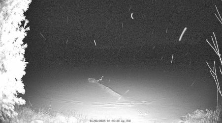 Image from 2025-01-02