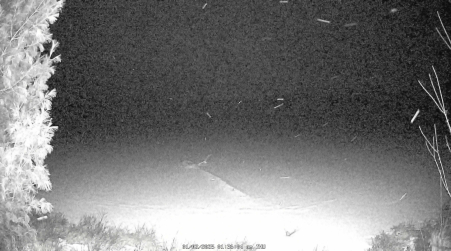 Image from 2025-01-02