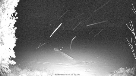 Image from 2025-01-02