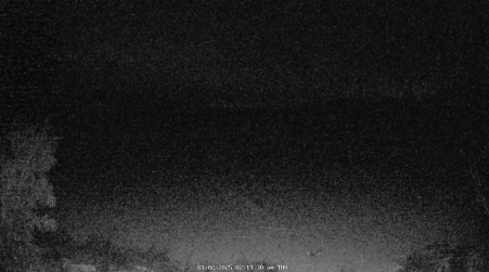 Image from 2025-01-02