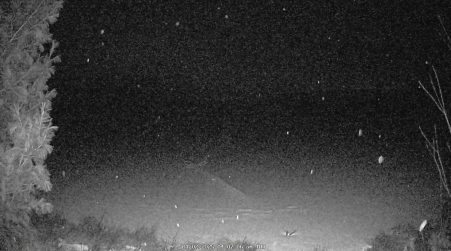 Image from 2025-01-02