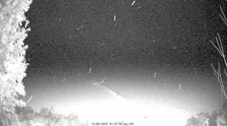 Image from 2025-01-02