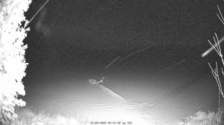 Image from 2025-01-02