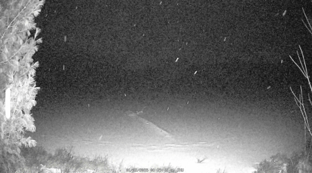 Image from 2025-01-02