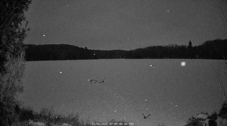 Image from 2025-01-02