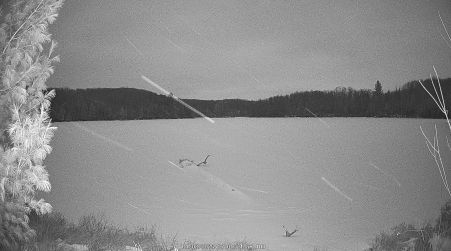 Image from 2025-01-02