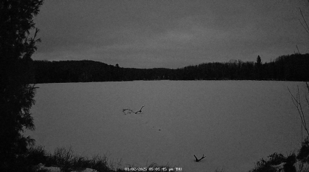Image from 2025-01-02