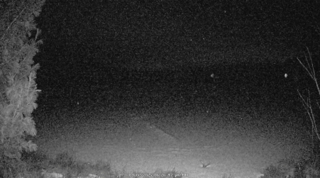 Image from 2025-01-02