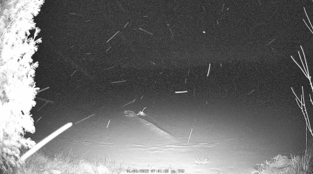 Image from 2025-01-02