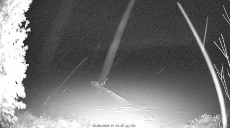 Image from 2025-01-02