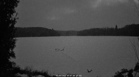 Image from 2025-01-03