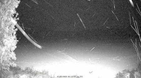Image from 2025-01-03