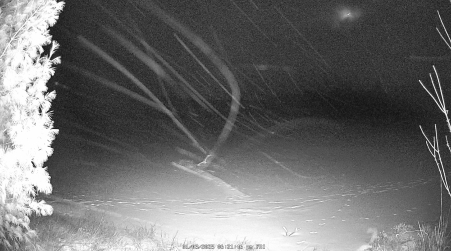 Image from 2025-01-03