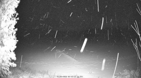 Image from 2025-01-03