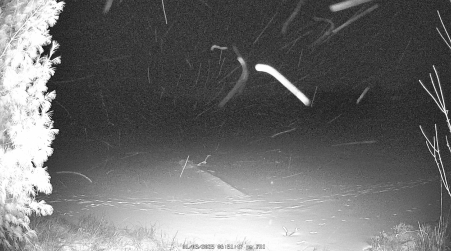 Image from 2025-01-03