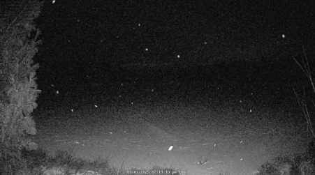 Image from 2025-01-03