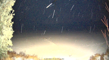 Image from 2025-01-03