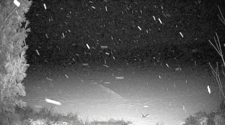 Image from 2025-01-03