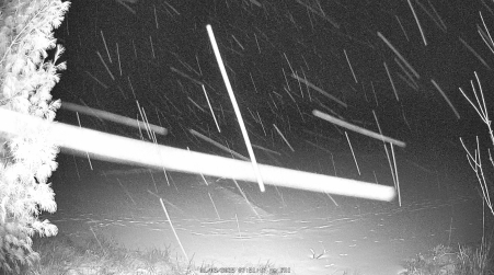 Image from 2025-01-03