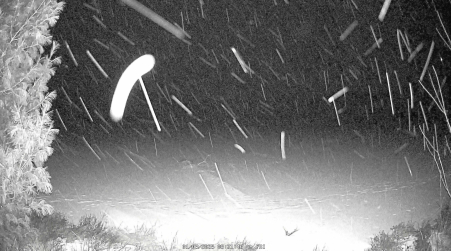 Image from 2025-01-03
