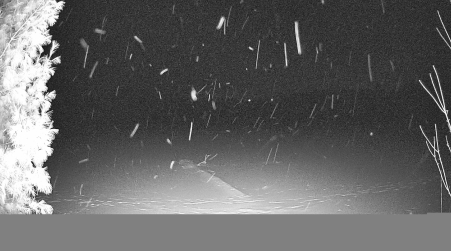 Image from 2025-01-03