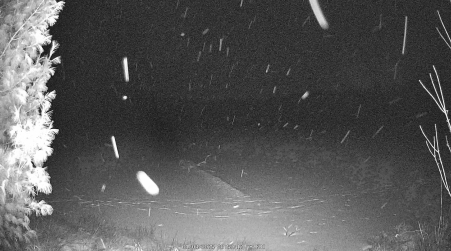 Image from 2025-01-03