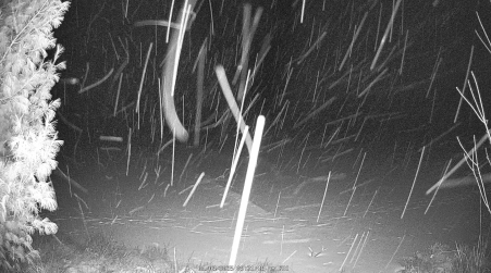 Image from 2025-01-03