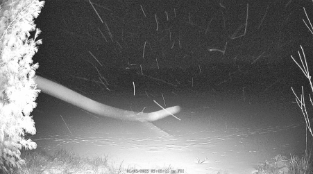 Image from 2025-01-03