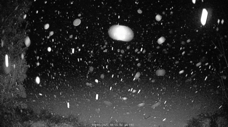 Image from 2025-01-03