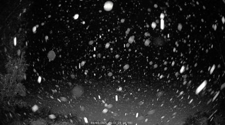 Image from 2025-01-03