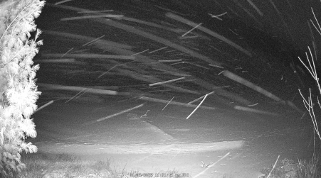 Image from 2025-01-03