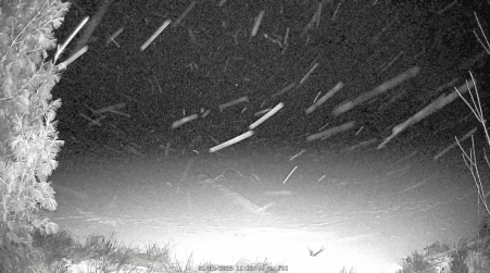 Image from 2025-01-03