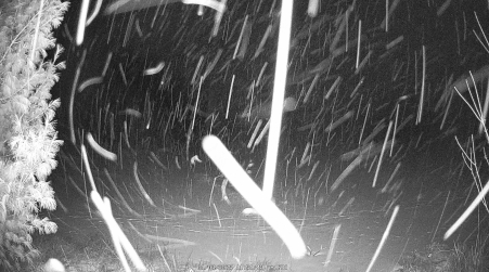 Image from 2025-01-03