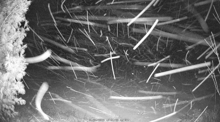 Image from 2025-01-04
