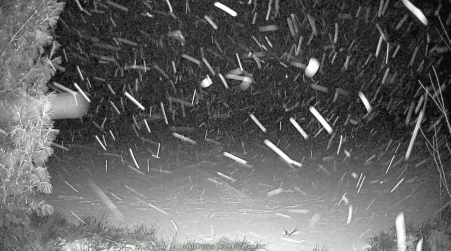 Image from 2025-01-04