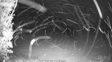 Image from 2025-01-04