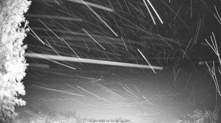 Image from 2025-01-04