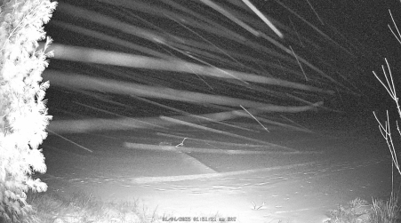 Image from 2025-01-04