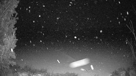 Image from 2025-01-04
