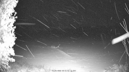 Image from 2025-01-04