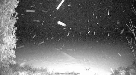 Image from 2025-01-04