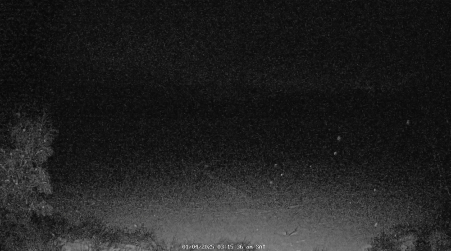 Image from 2025-01-04