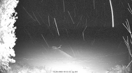 Image from 2025-01-04