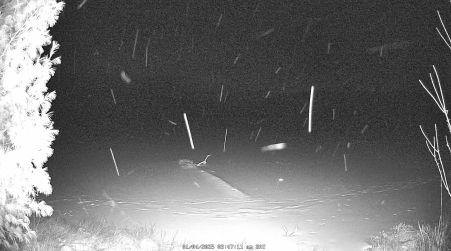Image from 2025-01-04