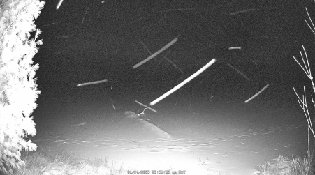Image from 2025-01-04