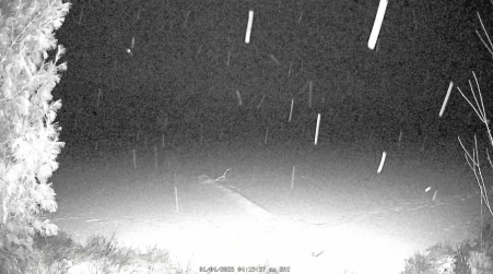 Image from 2025-01-04