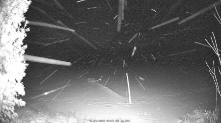Image from 2025-01-04