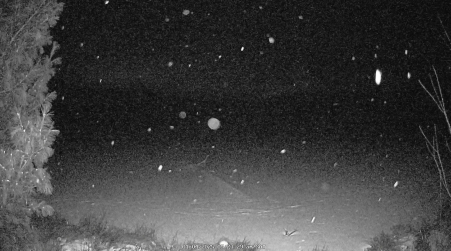 Image from 2025-01-04