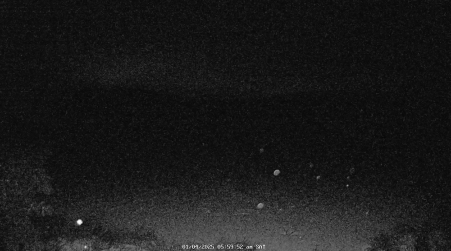 Image from 2025-01-04